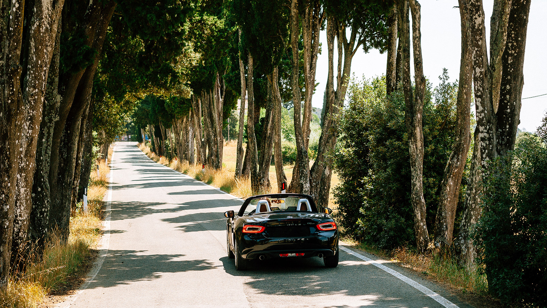 black convertible driving down a tree-lined road